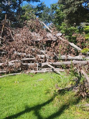 Tree Removal Off Home
Hauled off wood
Yard Cleanup - There was a bad storm & a very large tree fell on homeowners house. We removed the tree from the top of the home, cut the tree up, hauled off the firewood, & cleaned up yard by collecting all small pieces. The homeowner wanted to add it to their huge brush pile & burn the pile down! Tree Removal Off Home
Hauled off wood
Yard Cleanup - There was a bad storm & a very large tree fell on homeowners house. We removed the tree from the top of the home, cut the tree up, hauled off the firewood, & cleaned up yard by collecting all small pieces. The homeowner wanted to add it to their huge brush pile & burn the pile down!
