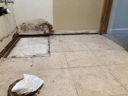 Mold Damage Restoration - Our mold damage restoration service ensures a safe and healthy environment by effectively removing mold growth and addressing the root cause. We begin with a thorough inspection to identify all areas of mold contamination, followed by containment to prevent further spread. Using advanced equipment and specialized techniques, our certified team safely removes mold, cleans affected surfaces, and restores your property. We also provide recommendations to prevent future mold issues by addressing underlying moisture problems. Whether it’s a small area or extensive mold damage, we’re committed to restoring your property and ensuring peace of mind.