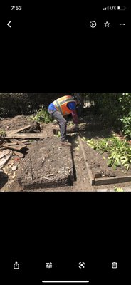 Cleaning service - Clean all plants. Trimmed, lawn mower, maintenance Cleaning service - Clean all plants. Trimmed, lawn mower, maintenance