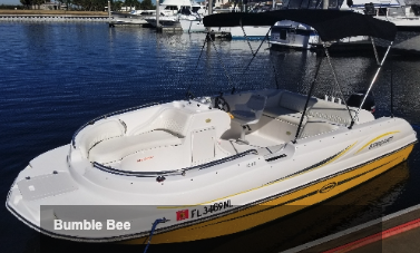 Bumblebee Boat Rental - Overview
8 Passenger Deck Boat
30 Miles Per Hour Average Speed, Stereo/Music
Shade Canopy, Cooler, GPS For Navigation & Tracking, Live Well For Fishing