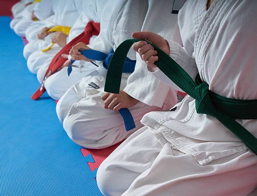 TKD Program Flex Class - TKD Program Flex Class

The Flex Class is an additional class for students to receive extra help or prepare for upcoming tournaments or testing. The class is open to students at a green stripe and up who are registered in the TKD Program. 

Students train on Saturdays.