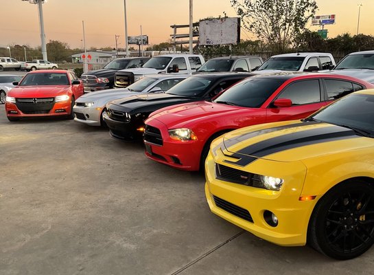 Rhino Motors Vehicles - Rhino motors vehicles, fleet changes frequently, check our website or call for most recent vehicles,