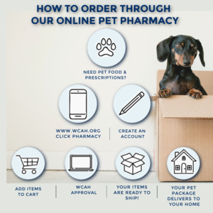 Online Pharmacy - Check out our online pet pharmacy! Head to our website or give us a call for details! Online Pharmacy - Check out our online pet pharmacy! Head to our website or give us a call for details!