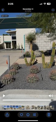 Sunny dunes project - This remodel was done for a client in Palm Springs ca. collaboration with designers Cactus Stud helped up achieve this beautiful cacti look. Project took 1 month to complete, complete remodel front and backyard. Sunny dunes project - This remodel was done for a client in Palm Springs ca. collaboration with designers Cactus Stud helped up achieve this beautiful cacti look. Project took 1 month to complete, complete remodel front and backyard.