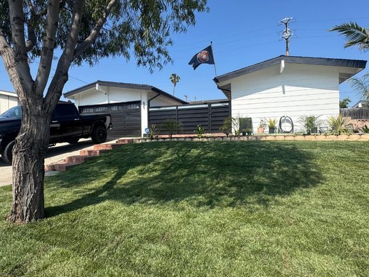 la mirada landscape project. - remove old trees and hedges make slope. plant new plants and new sod.
