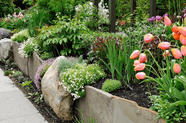 Beautiful Retaining Walls 🪨 - 🌿 Transform Your Outdoors with Jose the Gardener! 🌿

Is your yard in need of a stunning makeover? Let Jose the Gardener bring your vision to life with beautifully crafted retaining walls!

✅ Expert Craftsmanship: With years of experience, Jose combines artistry and functionality to create retaining walls that enhance your landscape.

✅ Durable Materials: We use high-quality materials that stand the test of time, ensuring your garden looks amazing year after year.

✅ Customized Designs: Every space is unique! Jose works closely with you to design a retaining wall that perfectly fits your style and needs.

✅ Affordable Pricing: Quality doesn’t have to break the bank! Enjoy competitive rates without sacrificing excellence.

🌟 Get Started Today! 🌟
Call Jose at 805-607-2323 for a free consultation and let’s elevate your garden together!

Jose the Gardener – Where Your Garden Dreams Grow!