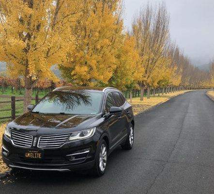 Corporate Transportation - Corporate Transportation

We’ve got years of experience with executing Corporate Transportation services. We know you want to arrive comfortably and on time and we are the people to guarantee just that. We take pride in all of our vehicles and work hard to take you to any location in Northern California no matter how bad the traffic may be. We invest the necessary time in communication and preparation to guarantee your safe arrival. Feel free to call for more information or to make a reservation.