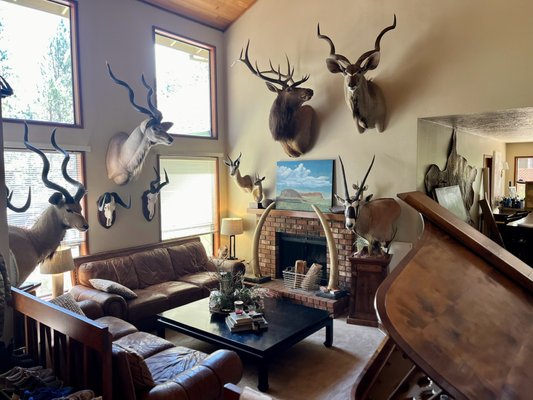 Listing Transformation: From Taxidermy Tenant to Pro Staging to SOLD! - When a few brokers in my office advised me to run for the hills and not take on this listing, I decided to pull up my sleeves and get to work. Initially filled top to bottom with taxidermy, my seller and I worked together to get the home cleared out, spruced up, and professionally staged. Before hitting the market, I marketed the home across Central Oregon and to key regions like the Bay Area, Portland, Seattle. I also marketed multiple open house events for opening weekend. We went live and had a flurry of showings, received an offer and juggled multiple rounds of negotiations. The home went pending in six days and sold successfully. Listing Transformation: From Taxidermy Tenant to Pro Staging to SOLD! - When a few brokers in my office advised me to run for the hills and not take on this listing, I decided to pull up my sleeves and get to work. Initially filled top to bottom with taxidermy, my seller and I worked together to get the home cleared out, spruced up, and professionally staged. Before hitting the market, I marketed the home across Central Oregon and to key regions like the Bay Area, Portland, Seattle. I also marketed multiple open house events for opening weekend. We went live and had a flurry of showings, received an offer and juggled multiple rounds of negotiations. The home went pending in six days and sold successfully.