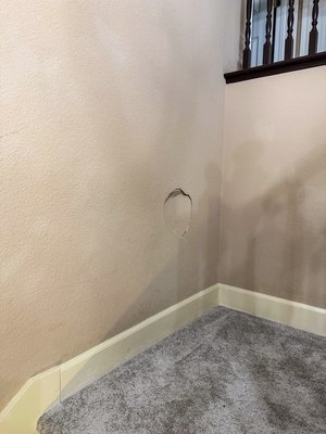 Stairway Wall Repair and Refresh - The client reached out to us with a problem — a section of drywall on their staircase wall had been damaged. We cut out all the compromised drywall, reinforced the existing structure with 2x4s, and reinstalled the thermal/sound insulation. After that, we installed new drywall, taped and mudded all seams, and applied an orange-peel texture to match the existing finish.
Since the staircase wall was previously dirty and had visible marks from older repairs, we decided to repaint the entire wall from corner to corner. This allowed us to refresh the surface and ensure the new paint blended seamlessly with the rest of the room.
Final Result: a clean, smooth, and freshly painted wall that looks like new. Stairway Wall Repair and Refresh - The client reached out to us with a problem — a section of drywall on their staircase wall had been damaged. We cut out all the compromised drywall, reinforced the existing structure with 2x4s, and reinstalled the thermal/sound insulation. After that, we installed new drywall, taped and mudded all seams, and applied an orange-peel texture to match the existing finish.
Since the staircase wall was previously dirty and had visible marks from older repairs, we decided to repaint the entire wall from corner to corner. This allowed us to refresh the surface and ensure the new paint blended seamlessly with the rest of the room.
Final Result: a clean, smooth, and freshly painted wall that looks like new.