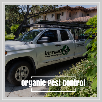 Organic, Eco-Friendly Pest Control - Versa-Tech® Pest Management specializes in eco-friendly, botanical, and organic pest control solutions for homes and businesses across San Dimas, the San Gabriel Valley, Los Angeles County, and Orange County, CA. We deliver customized, low-impact, safe treatment plans designed to protect your property, family, and pets without compromising performance. Contact us today for a free forensic pest inspection and personalized quote! Organic, Eco-Friendly Pest Control - Versa-Tech® Pest Management specializes in eco-friendly, botanical, and organic pest control solutions for homes and businesses across San Dimas, the San Gabriel Valley, Los Angeles County, and Orange County, CA. We deliver customized, low-impact, safe treatment plans designed to protect your property, family, and pets without compromising performance. Contact us today for a free forensic pest inspection and personalized quote!