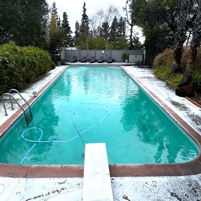 Tim’s Green-to-Clean special - I was able to turn this pool from a dark green swamp back to clear and swim ready within 4 days!