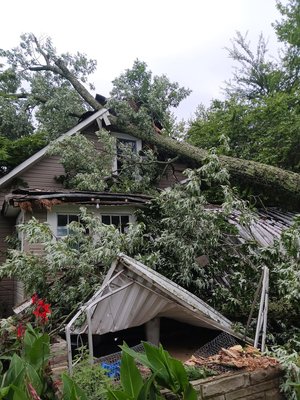 Emergency Services Available - If a recent storm has caused damage to your property, we're here to help! Our team of experts is available in Cookeville and surrounding areas for all your tree removal needs. If you need our assistance, please call us today at 931-526-TREE! Emergency Services Available - If a recent storm has caused damage to your property, we're here to help! Our team of experts is available in Cookeville and surrounding areas for all your tree removal needs. If you need our assistance, please call us today at 931-526-TREE!