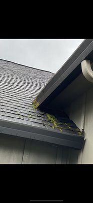 Gutter cleaning/ Moss removal - We do take care of all home exterior cleaning. Call today to schedule a free quote! Gutter cleaning/ Moss removal - We do take care of all home exterior cleaning. Call today to schedule a free quote!