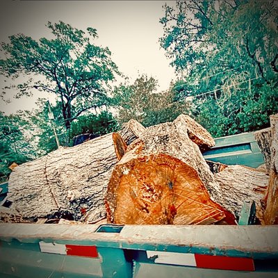 Clean up haul off - Just a fallen tree we came and cleaned fast and left the yard looking beautiful