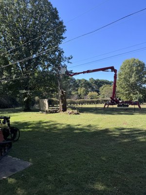 Tree Removal In Huntsville AL - 5-star service in Huntsville: Pruned hazard trees from home + full removal of 2 dead trees w/ stump grinding. Clean, quick, & storm-ready for Madison/Athens folks. 'Game-changer!' – Recent client. Book your tree pruning or removal today: 256-746-3598 | www.rocketcitytreeservice.com. Leave a review if we've helped you! #HuntsvilleTreeService Tree Removal In Huntsville AL - 5-star service in Huntsville: Pruned hazard trees from home + full removal of 2 dead trees w/ stump grinding. Clean, quick, & storm-ready for Madison/Athens folks. 'Game-changer!' – Recent client. Book your tree pruning or removal today: 256-746-3598 | www.rocketcitytreeservice.com. Leave a review if we've helped you! #HuntsvilleTreeService