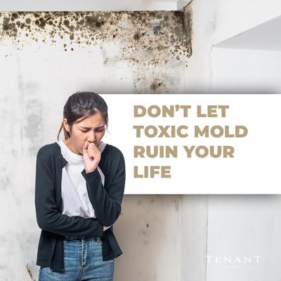 Health Effects Due to Mold, Failed Repairs or Other Uninhabitable Living Conditions - If you are a California tenant who has experienced injuries or developed health conditions because your landlord failed to make repairs or forced you to live in uninhabitable living conditions, we can help you recover as much money as possible for your losses - if there is no recovery, there is no fee for you to pay. Health Effects Due to Mold, Failed Repairs or Other Uninhabitable Living Conditions - If you are a California tenant who has experienced injuries or developed health conditions because your landlord failed to make repairs or forced you to live in uninhabitable living conditions, we can help you recover as much money as possible for your losses - if there is no recovery, there is no fee for you to pay.