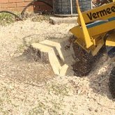 Stump Grinding - Remove that stump left in your yard now! More than unsightly, a stump can be hazardous for your children and pets. Thus, rely in Tiger Tree Services to grind it for you safely and effectively! Our professionals count with the tools and equipment to properly address your stump grinding demands. After the process is completed, we can use the leftover stump particles as mulch to nurture your plants. Call for an estimate. Stump Grinding - Remove that stump left in your yard now! More than unsightly, a stump can be hazardous for your children and pets. Thus, rely in Tiger Tree Services to grind it for you safely and effectively! Our professionals count with the tools and equipment to properly address your stump grinding demands. After the process is completed, we can use the leftover stump particles as mulch to nurture your plants. Call for an estimate.