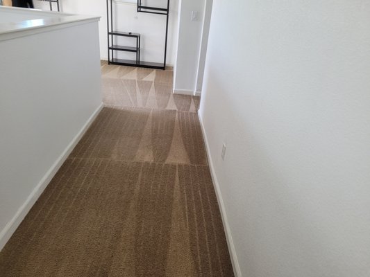 carpet Cleaning - bedroom and stair case