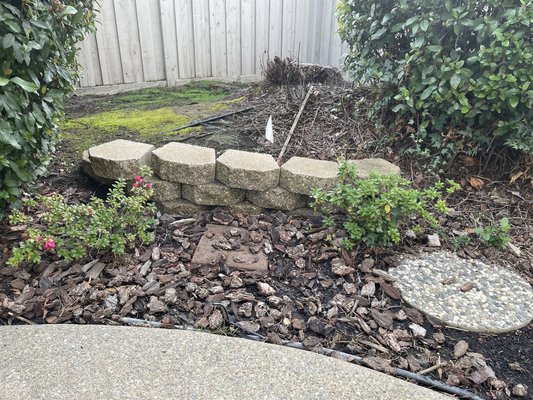 Backyard stump with tricky access - This was a backyard stump guarded by a block wall and some irrigation. Able to complete job without disrupting other plants or irrigation. Happy customer! Backyard stump with tricky access - This was a backyard stump guarded by a block wall and some irrigation. Able to complete job without disrupting other plants or irrigation. Happy customer!