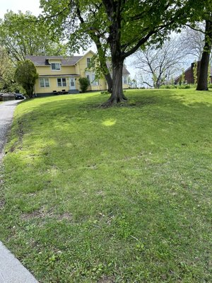 Large yard Mow and Trim - This large yard was in need of some love after a lot of early rain. We completed the job, and now it’s nice and trimmed. It’s ready to get its next round of rain! Large yard Mow and Trim - This large yard was in need of some love after a lot of early rain. We completed the job, and now it’s nice and trimmed. It’s ready to get its next round of rain!
