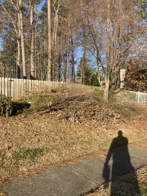 Yard waste removal - Yard waste removal Yard waste removal - Yard waste removal