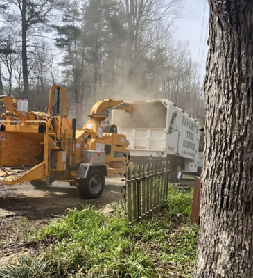 Tree Services - Trees that are properly taken care of are more resilient to a range of potential problems, are infinitely more attractive, and can add substantial value to your property. Trees that are not properly maintained can be a liability. Unhealthy trees and those that have been topped or harmed from improper pruning practices are unattractive and can become problematic. Give us a call today for any type of residential tree service, tree felling, and tree care.
landscaping cleanup
lawn maintenance
tree pruning
tree removal
brush hogging
mulching service
tree maintenance Tree Services - Trees that are properly taken care of are more resilient to a range of potential problems, are infinitely more attractive, and can add substantial value to your property. Trees that are not properly maintained can be a liability. Unhealthy trees and those that have been topped or harmed from improper pruning practices are unattractive and can become problematic. Give us a call today for any type of residential tree service, tree felling, and tree care.
landscaping cleanup
lawn maintenance
tree pruning
tree removal
brush hogging
mulching service
tree maintenance