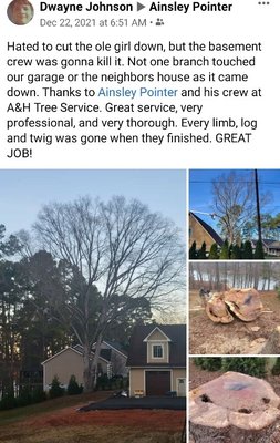 Johnson job - This tree was encroaching on two homes. It was becoming dangerous for the customer. We were able to get this tree down and cleaned up with no damage to the homes or surrounding areas. Johnson job - This tree was encroaching on two homes. It was becoming dangerous for the customer. We were able to get this tree down and cleaned up with no damage to the homes or surrounding areas.