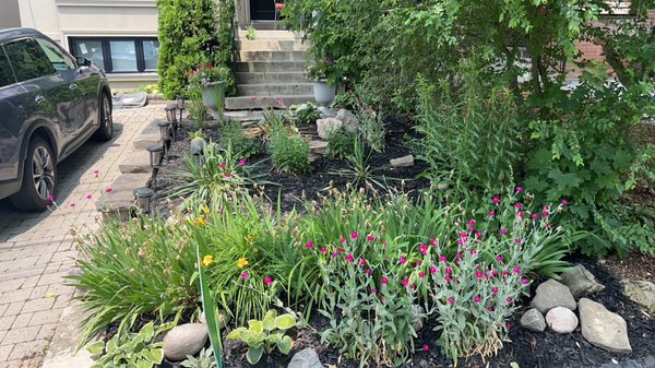 Complete garden remodel including weed mats and mulch - Grass and Gravel recently transformed a messy garden into a neat, beautiful space. We cleared out all the weeds, put down a weed mat to keep it low-maintenance, and then planted a variety of plants and flowers. This project shows how we turn chaotic yards into lovely, easy-to-care-for gardens. Complete garden remodel including weed mats and mulch - Grass and Gravel recently transformed a messy garden into a neat, beautiful space. We cleared out all the weeds, put down a weed mat to keep it low-maintenance, and then planted a variety of plants and flowers. This project shows how we turn chaotic yards into lovely, easy-to-care-for gardens.