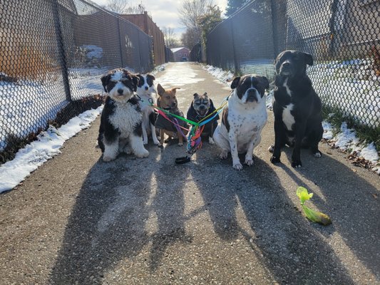 just-in-time - Just-In-Time Dog Walking Services
Provides walks, Drop-in visits, Live-ins, and dog boarding. just-in-time - Just-In-Time Dog Walking Services
Provides walks, Drop-in visits, Live-ins, and dog boarding.