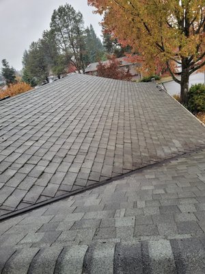 Moss Removal - Moss can not only diminish the curb appeal of your home but has the potential to ruin your roof. High winds or rain? This moss can easily lift your shingles, resulting in costly damages.