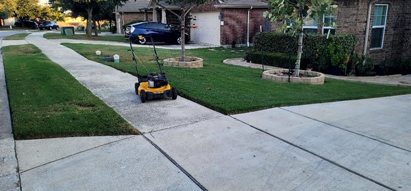 Deannas yard - Deannas yard Deannas yard - Deannas yard