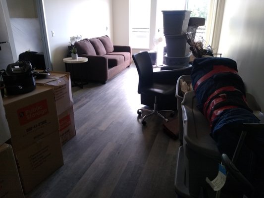 Storage Move-In Condo - Taking items from a Bellevue Storage & moving them into a condo.