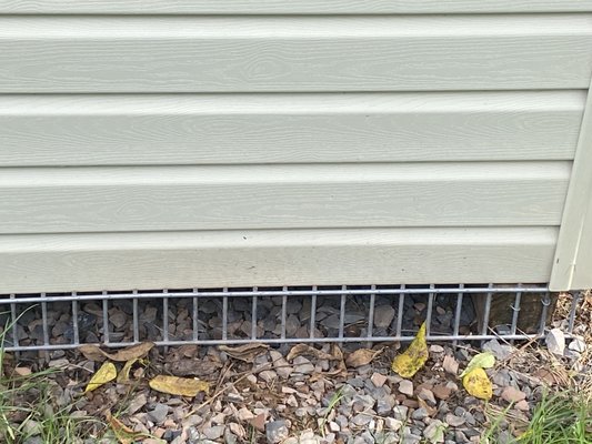 Wildlife Removal - Nuisance wildlife removal is unique to every situation and requires a site inspection most times. I Will discuss options over the phone and approximate costs. If needed a visit to your site will provide you with the exact methods that will be required to solve your problem. Exclusion options after the removal can also be discussed. Wildlife Removal - Nuisance wildlife removal is unique to every situation and requires a site inspection most times. I Will discuss options over the phone and approximate costs. If needed a visit to your site will provide you with the exact methods that will be required to solve your problem. Exclusion options after the removal can also be discussed.