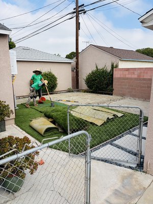 Synthetic turf demo - Customer wanted to remove the synthetic turf and install new plants. Turned out nice!