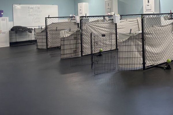 Rubber Flooring for Ahimsa Dog Training - Rubber flooring is appreciated for its safety, durability, comfort, and longevity. To fully leverage these advantages and create a clean, modern look, it is advisable to have rubber flooring professionally installed by an experienced flooring installer. Proper subfloor leveling and repairs, along with secure installation and appropriate floor protection and sealing, can significantly enhance the performance and appearance of your rubber floorin Rubber Flooring for Ahimsa Dog Training - Rubber flooring is appreciated for its safety, durability, comfort, and longevity. To fully leverage these advantages and create a clean, modern look, it is advisable to have rubber flooring professionally installed by an experienced flooring installer. Proper subfloor leveling and repairs, along with secure installation and appropriate floor protection and sealing, can significantly enhance the performance and appearance of your rubber floorin