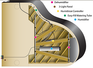 HUMIDITY CONTROL - The most important factor to ensure tuning stability and to make sure that your piano is protected for the long haul, is to do something to stabilize the humidity in and around your piano. The ideal humidity setting for a piano is 42%. This can be best achieved by having a humidity control system, which is specially designed for pianos, installed on your piano. The humidity control system is called the Piano Life Saver, and I am a certified field expert in the installation of these units for both grand and vertical pianos. Please call me if you are interested, and i will be happy to further discuss the benefits of having a humidity control system installed on your piano.
HUMIDITY CONTROL - The most important factor to ensure tuning stability and to make sure that your piano is protected for the long haul, is to do something to stabilize the humidity in and around your piano. The ideal humidity setting for a piano is 42%. This can be best achieved by having a humidity control system, which is specially designed for pianos, installed on your piano. The humidity control system is called the Piano Life Saver, and I am a certified field expert in the installation of these units for both grand and vertical pianos. Please call me if you are interested, and i will be happy to further discuss the benefits of having a humidity control system installed on your piano.
