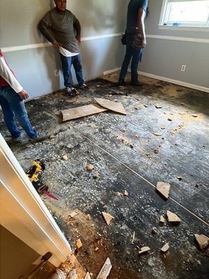 Severe Wood Rot Damage Repair - This house needed a full demo of the subfloors in the main area and bathrooms, along with the removal and install of a new sump pump. We also removed and installed a new vapor barrier for this client and sprayed Tim-bor professional insecticide and fungicidal solution. Severe Wood Rot Damage Repair - This house needed a full demo of the subfloors in the main area and bathrooms, along with the removal and install of a new sump pump. We also removed and installed a new vapor barrier for this client and sprayed Tim-bor professional insecticide and fungicidal solution.