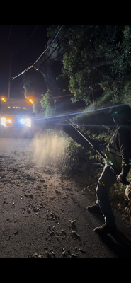 Emergency Tree Work Services - We provide rapid-response tree services to address urgent hazards caused by fallen, uprooted, or damaged trees. Our team safely removes trees and large limbs that pose risks to roadways, communication lines, residential or commercial properties, and public safety.