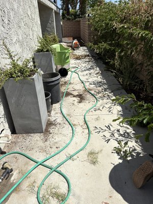Before and after maintenance and hardscape - Before & After: We transformed this side yard by trimming back the overgrown plants, removing leaves and debris, cleaning the concrete walkway, leveling the decorative rock, and adding stepping stones for a cleaner, safer, and more finished look.