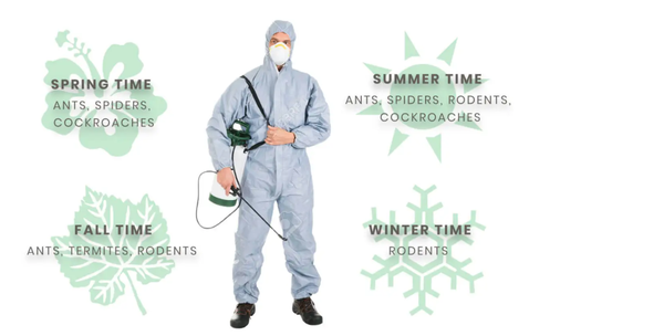 Basic & Seasonal Pest Control Services - BASIC PEST CONTROL
* The All Year-Round Pest Control begins with Basic Control. With this we make sure to destroy any existing pests in your household internally, and 
  externally, we secure a barricade for any unwanted pests that want to enter your residence.

SEASONAL PEST CONTROL
* Pursuing the Basic Pest Control we will return once every season to fortify external barricades and eliminate any pests that may be making their 
  way into your home.

PESTS INCLUDED IN OUR PLANS
*** Ants, Bees/Hornet’s nest, Bed Bugs, Beetles, Boxelder Bugs, Centipedes,  Cockroaches, Crickets, Earwigs,  Rats, Millipedes, Pill Bugs, Silverfish, Sow Bugs, Spiders and Springtails. ***