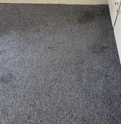 Carpet steam cleaning - These older commercial carpets hadn’t been cleaned in over a decade! They looked almost new, and smelled so fresh after cleaning! Call us today to renew and refresh your space.