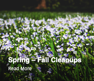 Spring-Fall Cleanups - Cleaning up your property for spring is a big job. Allow our team to handle it for you. We are landscaping and lawn care service experts with programs catered to both residential and commercial properties. We understand that your time is valuable and limited. Let us take care of your spring cleaning so that you can enjoy a beautiful, season-ready property without the hassle. Spring-Fall Cleanups - Cleaning up your property for spring is a big job. Allow our team to handle it for you. We are landscaping and lawn care service experts with programs catered to both residential and commercial properties. We understand that your time is valuable and limited. Let us take care of your spring cleaning so that you can enjoy a beautiful, season-ready property without the hassle.