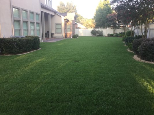 Backyard Zoysia Sod install and Drainage System - This backyard had a total weed lawn. We removed existing lawn and added a PVC drainage system to eliminate standing water. We graded entire yard to proper slopes with a laser level and install Grade A certified Zoysia sod. Call Mario today to get started (504)415-1438 Backyard Zoysia Sod install and Drainage System - This backyard had a total weed lawn. We removed existing lawn and added a PVC drainage system to eliminate standing water. We graded entire yard to proper slopes with a laser level and install Grade A certified Zoysia sod. Call Mario today to get started (504)415-1438