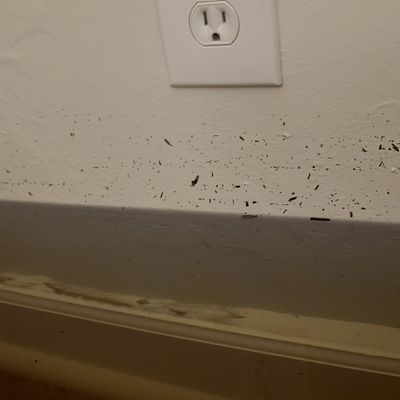 Flood Damage Restoration - Quick and reliable flood damage restoration – restoring homes, rebuilding lives. Flood Damage Restoration - Quick and reliable flood damage restoration – restoring homes, rebuilding lives.