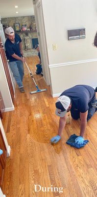 Living Room and Kitchen Refinishing - The client could not afford to be out of their house overnight and needed the floors restored. They also had a very limited budget. Her big problem was all the gray caused by oxidation from dogs and people foot traffic had worn through the finish. Her goal was new looking floors without the gray and a semi gloss sheen. Gray is caused where there's no finish and the reaction of moisture to the mineral content in the wood.
We were able to address the discoloration and finished the project in under a day with the client being able to walk on the floors by 6PM. Client was extremely happy with the result as were we. Living Room and Kitchen Refinishing - The client could not afford to be out of their house overnight and needed the floors restored. They also had a very limited budget. Her big problem was all the gray caused by oxidation from dogs and people foot traffic had worn through the finish. Her goal was new looking floors without the gray and a semi gloss sheen. Gray is caused where there's no finish and the reaction of moisture to the mineral content in the wood.
We were able to address the discoloration and finished the project in under a day with the client being able to walk on the floors by 6PM. Client was extremely happy with the result as were we.