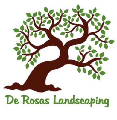 About Us - We’re not just your ordinary landscaping company—we’re your partners in transforming outdoor spaces into vibrant, inviting havens. With over 15+ years of experience, our team brings a wealth of knowledge and expertise to every project, ensuring each garden and lawn reflects our commitment to excellence.
From lush gardens to meticulously maintained lawns, we pride ourselves on delivering personalized solutions that exceed expectations. Our passion for nature and dedication to quality shine through in every aspect of our work. With De Rosas Landscaping, your outdoor dreams are our top priority—we’re here to make them a reality. About Us - We’re not just your ordinary landscaping company—we’re your partners in transforming outdoor spaces into vibrant, inviting havens. With over 15+ years of experience, our team brings a wealth of knowledge and expertise to every project, ensuring each garden and lawn reflects our commitment to excellence.
From lush gardens to meticulously maintained lawns, we pride ourselves on delivering personalized solutions that exceed expectations. Our passion for nature and dedication to quality shine through in every aspect of our work. With De Rosas Landscaping, your outdoor dreams are our top priority—we’re here to make them a reality.