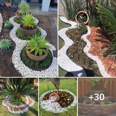 Lawn care service - For better service please call me or text me directly to my cell phone number +1 (469) 849-1852 it’s a pleasure to serve you  Lawn care service - For better service please call me or text me directly to my cell phone number +1 (469) 849-1852 it’s a pleasure to serve you 