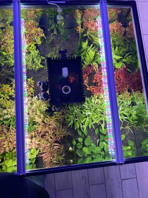 CO2 Systems - For those of you who have CO2 systems, bring your cylinders in and let us fill them for you! We can fill most bottles from 1 lb-10 lb cylinders. CO2 Systems - For those of you who have CO2 systems, bring your cylinders in and let us fill them for you! We can fill most bottles from 1 lb-10 lb cylinders.