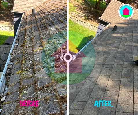 Roof Cleaning & Moos Removal - Keeping your roof clean is an essential component of home maintenance
Roof Cleaning & Moss Removal include:
Removing moss with a brush
Blowing debris off the roof
Cleaning of open gutters
Applying zinc powder to the roof to treat the moss
Sweeping the ground of any debris from the roof Roof Cleaning & Moos Removal - Keeping your roof clean is an essential component of home maintenance
Roof Cleaning & Moss Removal include:
Removing moss with a brush
Blowing debris off the roof
Cleaning of open gutters
Applying zinc powder to the roof to treat the moss
Sweeping the ground of any debris from the roof