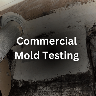 Commercial Mold Testing - We were called to a small business in Round Rock to investigate a possible mold infestation. We found mold in their HVAC system and in the walls. We recommended a remediation company, and the owner was able to get it fixed quickly. Commercial Mold Testing - We were called to a small business in Round Rock to investigate a possible mold infestation. We found mold in their HVAC system and in the walls. We recommended a remediation company, and the owner was able to get it fixed quickly.